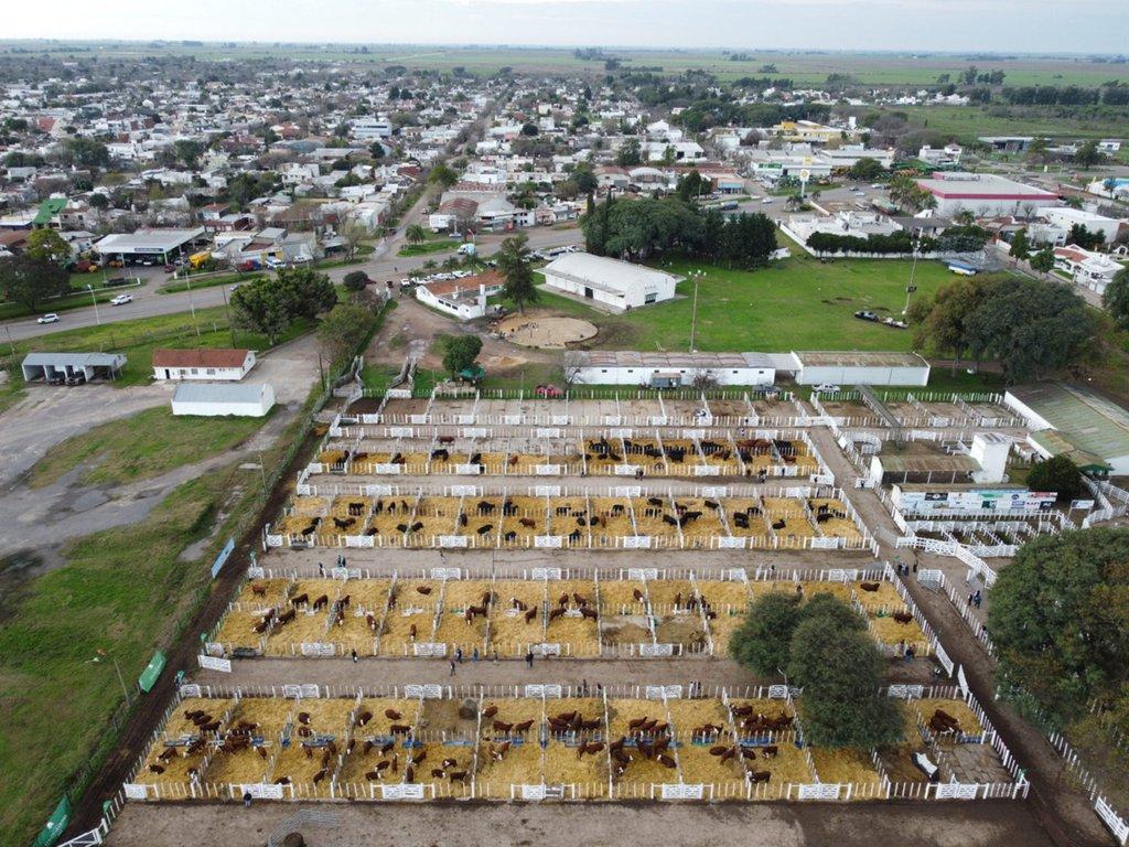 San Justo fue escenario de un gran remate de genética con Los Charabones, Don Pedro y Don Chiquito